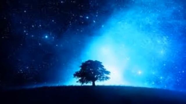 Dima Bilan - Ночь без тебя (A night without you)