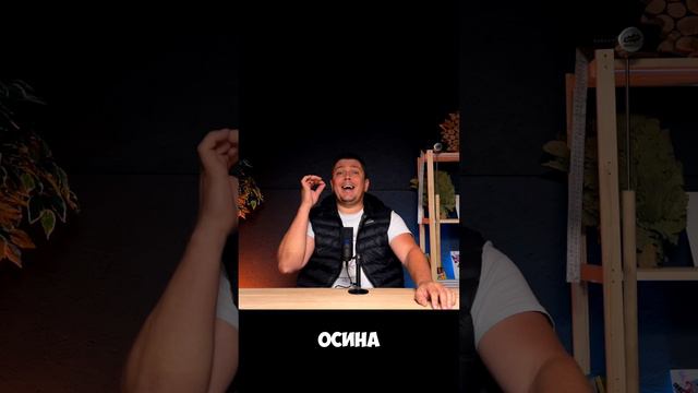 Как ПРАВИЛЬНО установить ВАГОНКУ в Бане? Последствия неизбежны...