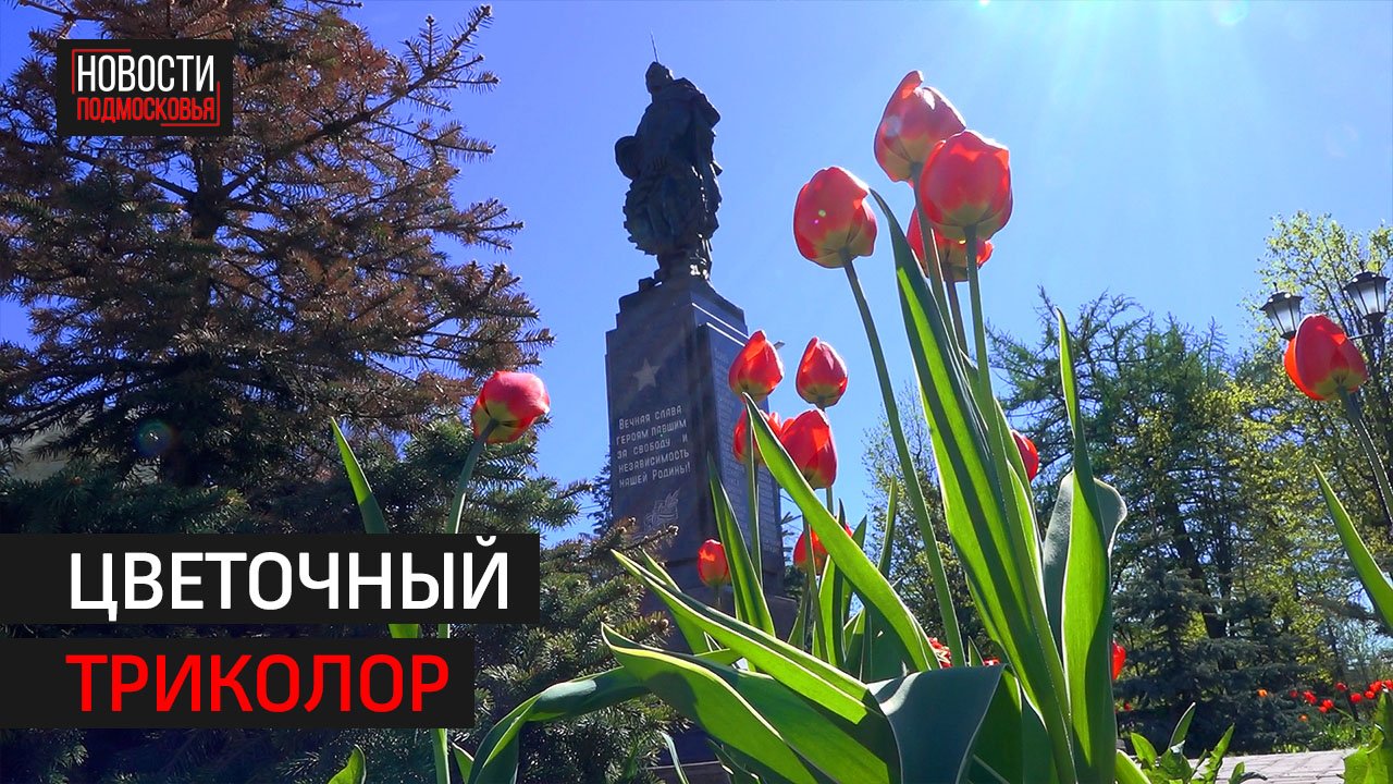 В Солнечногорске благоустроили территорию рядом с памятниками