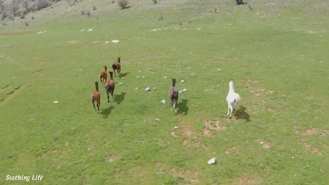 ?Лучшая музыка поможет вам погрузиться в релаксацию музыки! Музыка улучшает память!❤️❤️