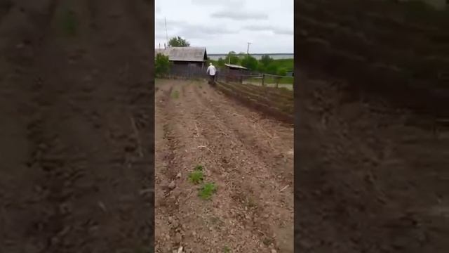 Окучник пропеллерного типа. Сажаем пропалываем и окучиваем одним самодельным агрегатом.