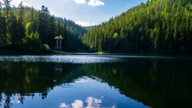 Случайно увидев в руках дочери брошь, отец внезапно побледнел... история из жизни