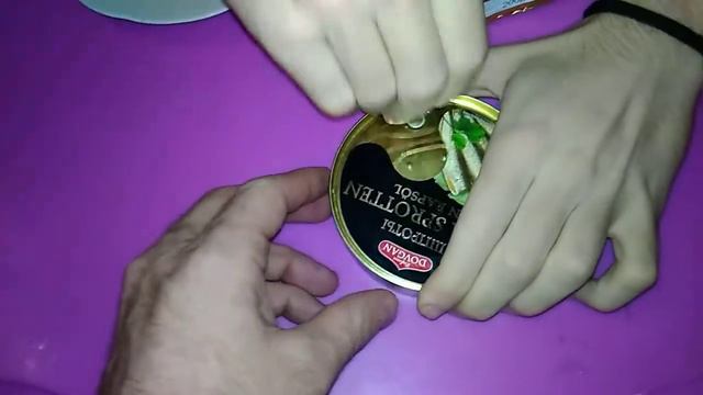 Шпроты Dovgan Эстония