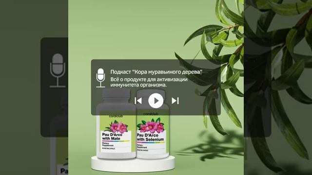 Кора муравьиного дерева с мате и Селеном .