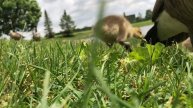 Вас снимает скрытая камера?