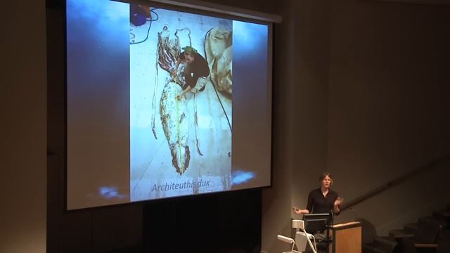 Sneaky Squid with Kat Bolstad