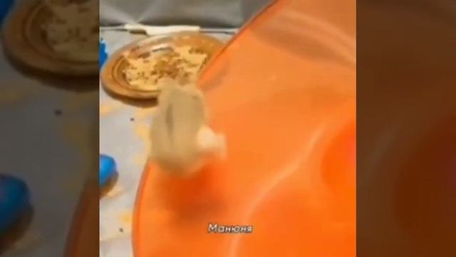 Для улыбки есть причины.mp4