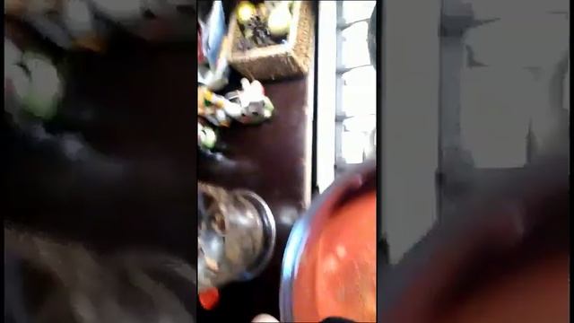 Гаспаччо