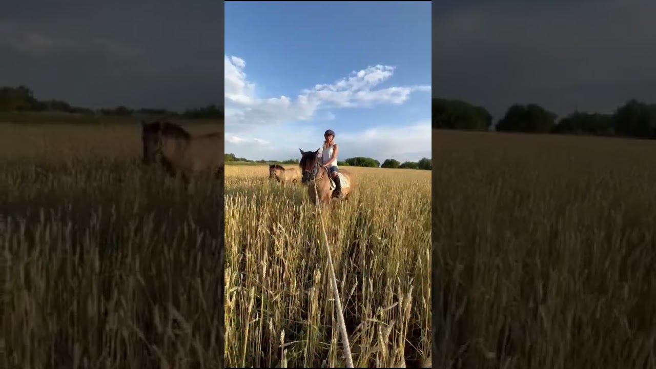 Ресницы Клип 2