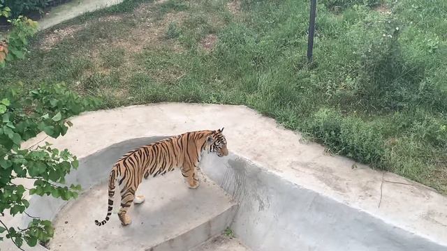 Крым. Белогорск. Тайган 22