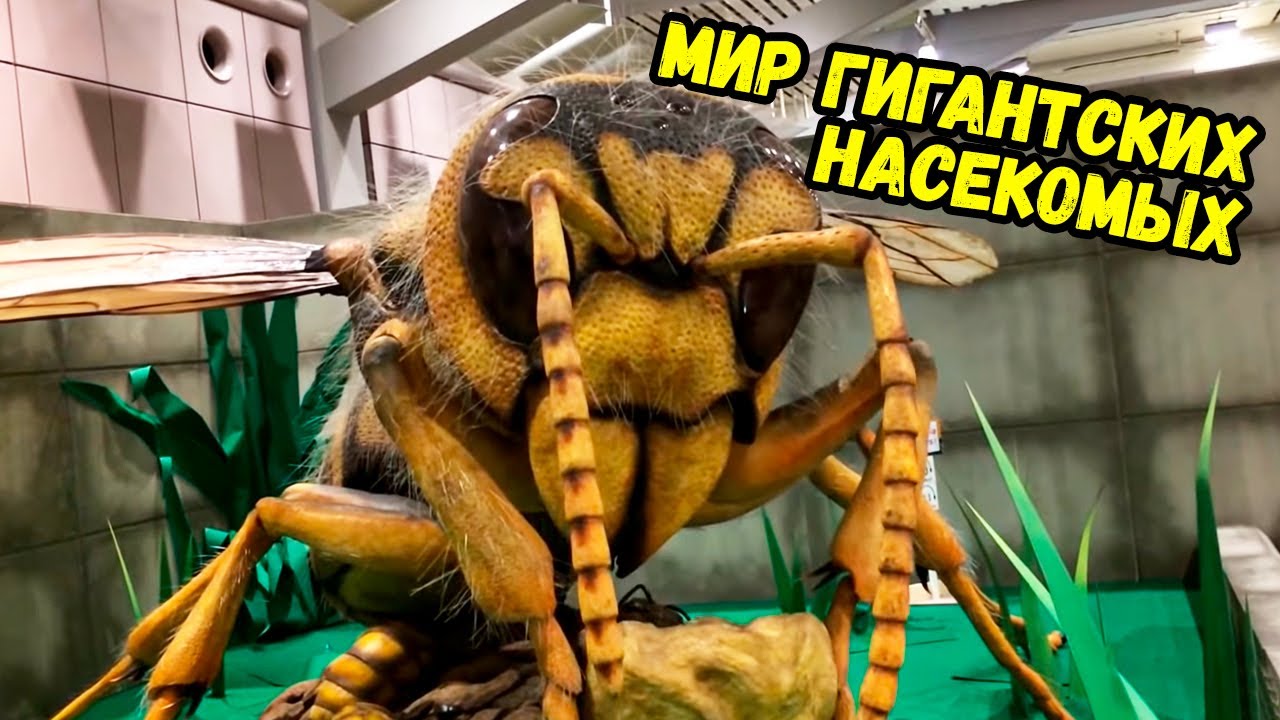 28 ВЕЩЕЙ, КОТОРЫЕ ВЫ УВИДИТЕ ВПЕРВЫЕ.mp4