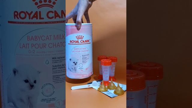 Молоко для выкармливания котят Royal Canin