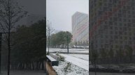 Москва 8 мая падал весенний снег, метель шалила не стесняясь 🍎