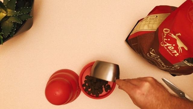 Kong Wobbler Dog Toy Review