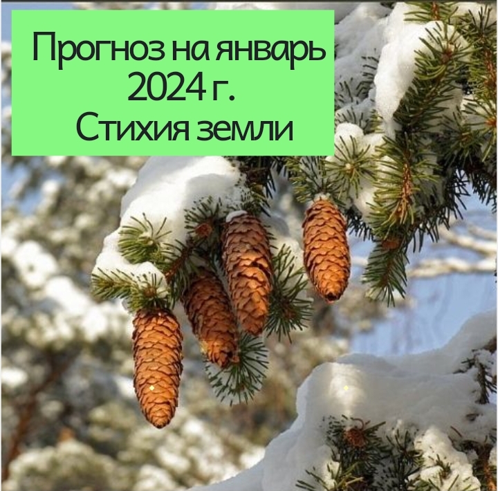 Прогноз на январь 2024 г. Стихия земли: телец, дева, козерог