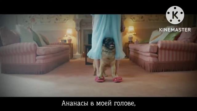 Glass Animals : Pork Soda - Свиная сода перевод  клип