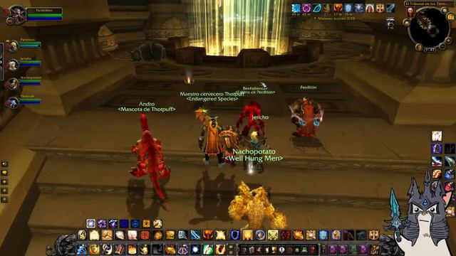World of warcraft Lich King // Paladin Tank // Road to 80