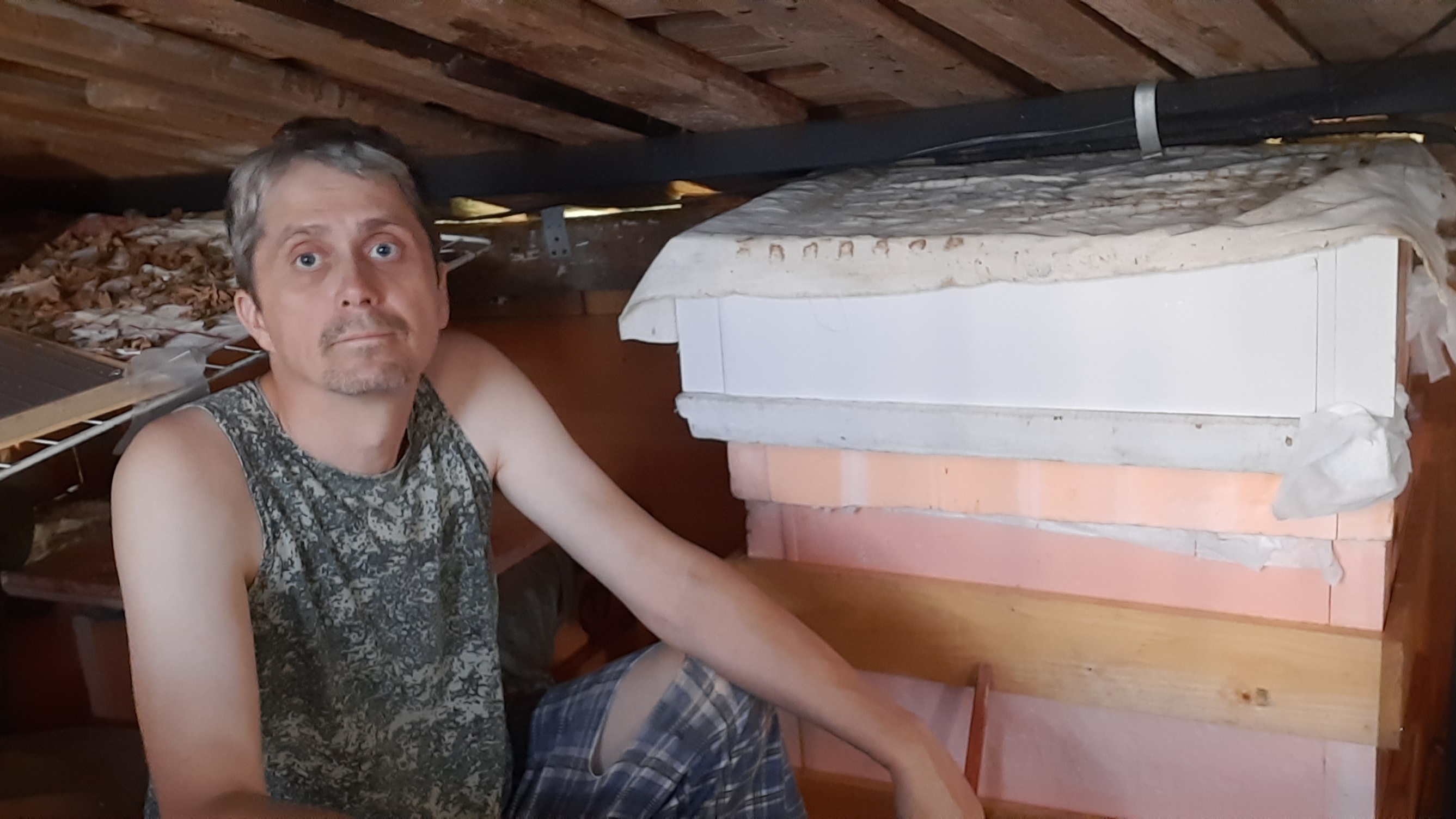 в гостях у пчел