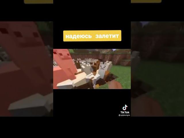 MINECRAFT MEME ❤ SUBSCRIBE