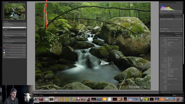 Lezione Gratuita In Streaming 8: Composizione