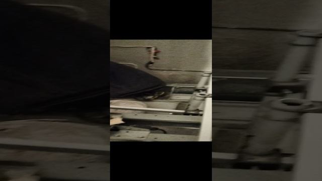 1000001231.mp4