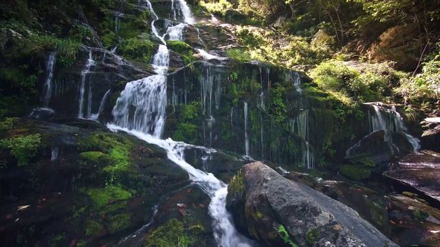 8 Hours River Waterfall in Forest and Water —  Soothing Nature Sounds for Relaxing and Meditation