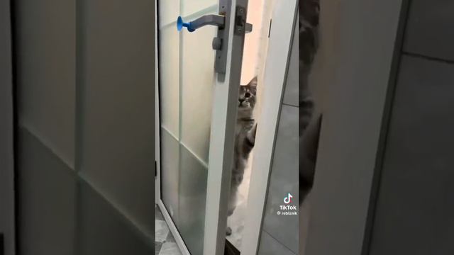 Видео из тик тока, часть 3❤