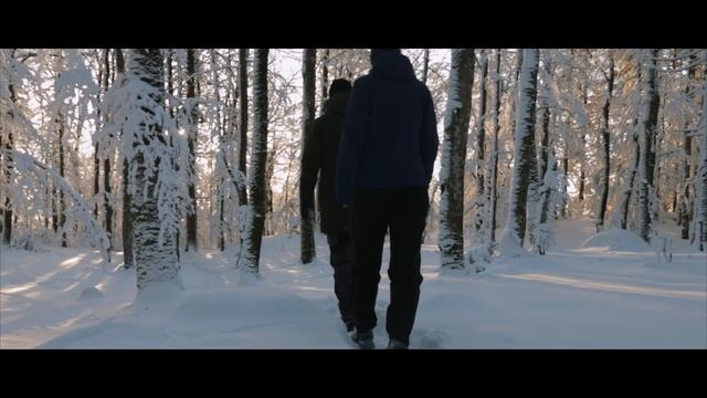 Testing the zhiyun crane 2 with the Canon 80D