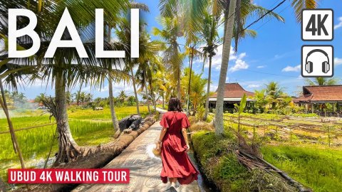 Убуд, остров Бали, Индонезия - Отдых на Бали - Bali Indonesia Ubud