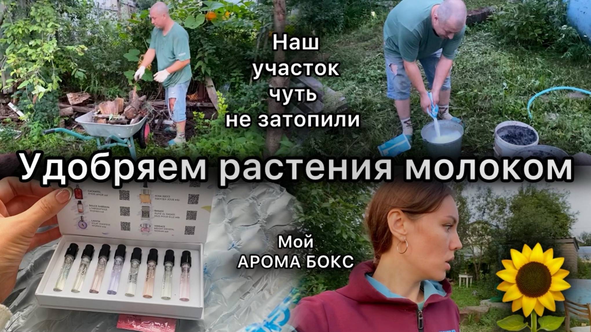 Удобряем растения молоком. Затопило дачный туалет. Мой арома бокс. Дачный влог