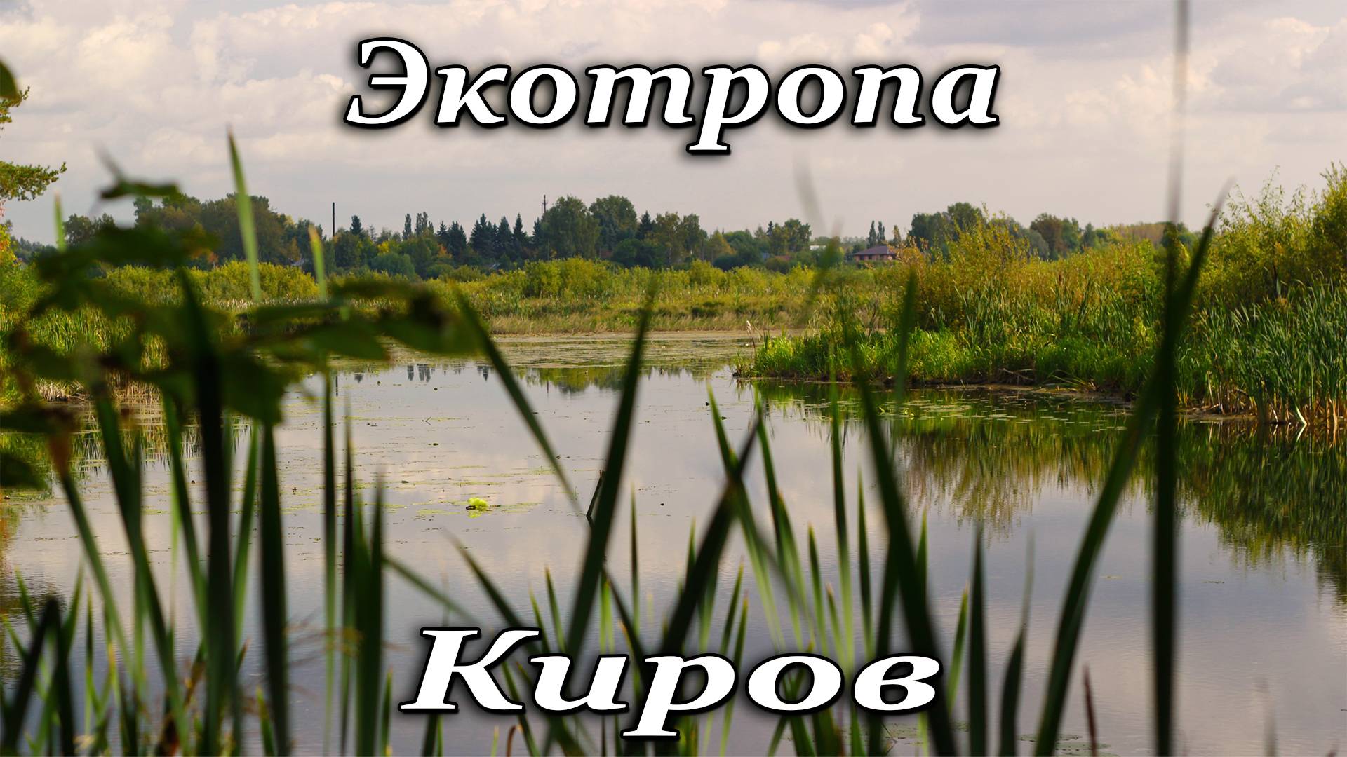 Экологическая тропа. Киров. #природа #2024 #киров #осень