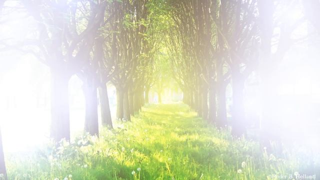 Long Playlist of Relaxing Piano Music for Meditation & Relaxation