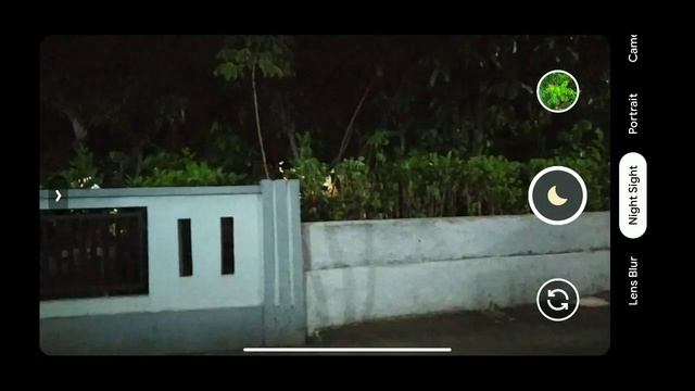 Google Camera Redmi Note 7 Android 10 Parrot 7.0 Night Mode | GCAM REDMI NOTE 7 (Mantul)