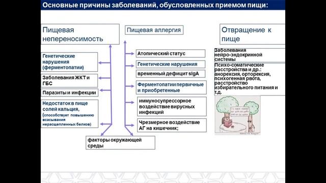Гормоны под прицелом с доктором Плещёвой. Пищевая аллергия–современные проблемы и пути решения
