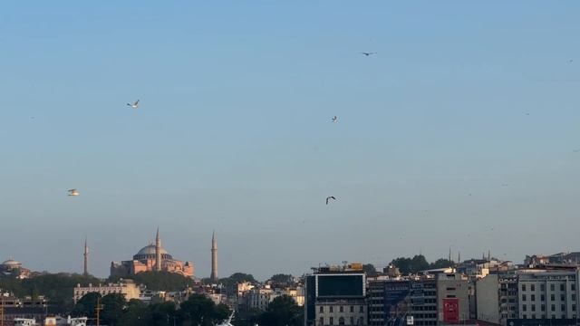 Что посмотреть в Стамбуле за три дня