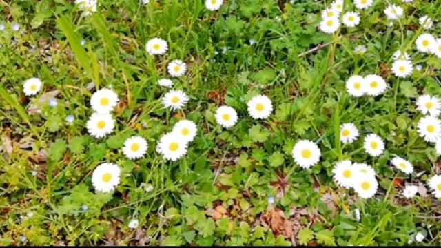 Расслабляющая музыка - красивая природа!
