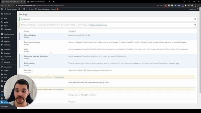 Elementor Multi Language website - Using Polylang and Elementor