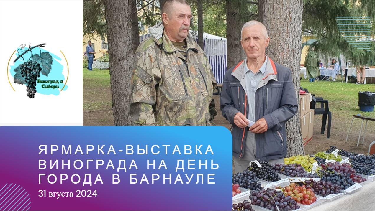 Ярмарка-выставка винограда на день города в Барнауле 31.08.2024