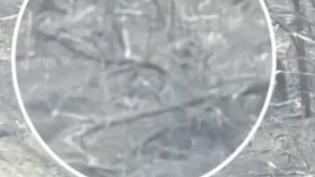 Наш боец отбился от дрона ВСУ лопатой