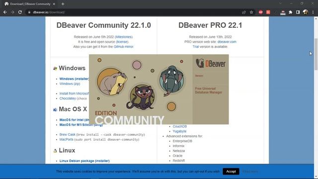 Tutorial Ringkas Instalasi DBeaver!