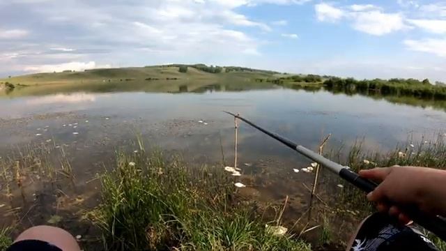 РЫБАЛКА НА ПОПЛАВОК С БЕРЕГА ЛЕТОМ / Рыбалка для души...