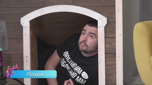 ПАПА НАКОНЕЦ ТО В БУДКЕ ｜ СТРЕЙ ЗАЛЕЗ В БУДКУ И СМОТРИТ ИГРУ ｜ VovaPain Stray228 TpaBoMaH YBN