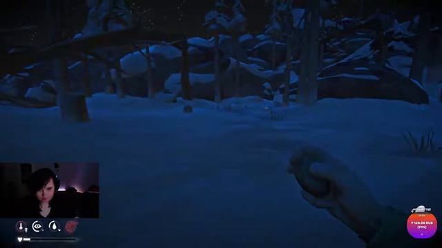 Это будет очень ДОЛГАЯ ЗИМА (Игра от подписчика) • The Long Dark