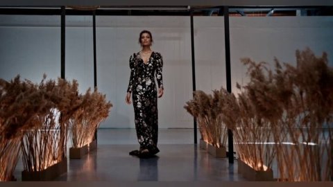 лаванда! кольраби! морошка