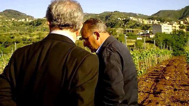TRA I VIGNETI DI MIRTO
