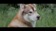 CANON EOS 90D 4K CINEMATIC VIDEO TEST (Ultra HD)