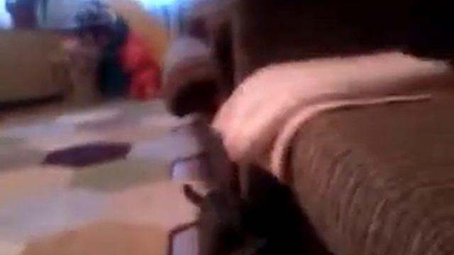 Огненный шар? Может метеорит?...