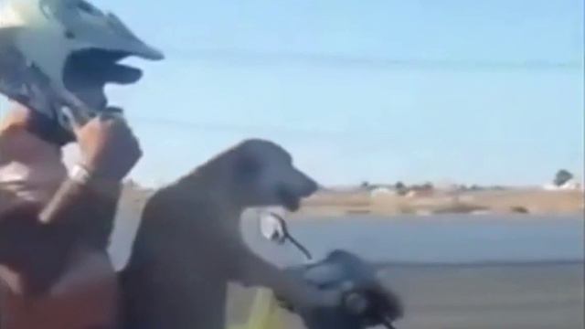 VID_20231218_141455_047.mp4