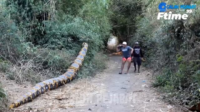 Best Funny Videos ? - People Being Idiots _ ? Try Not To Laugh - BY FunnyTime99 ?️ #38
