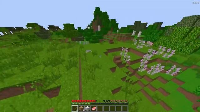 КАК ИГРАТЬ ЗА ЭНДЕРМЕНА В МАЙНКРАФТ? MINECRAFT ПРЕВРАЩЕНИЯ В МОБОВ ЭВОЛЮЦИЯ ТРОЛЛИНГ НУБА